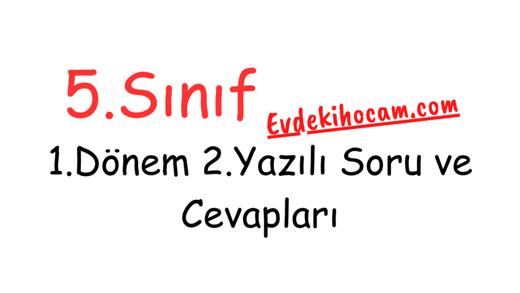5.Sınıf 1.Dönem 2.Yazılı Soru ve Cevapları