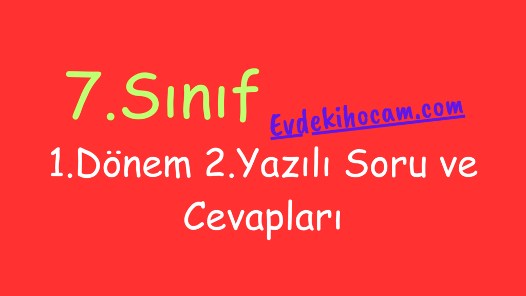 7.Sınıf 1.Dönem 2.Yazılı Soru ve Cevapları