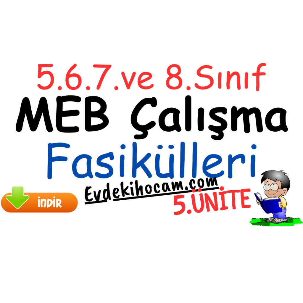 5.6.7 VE 8. Sınıf MEB Çalışma Fasikülleri
