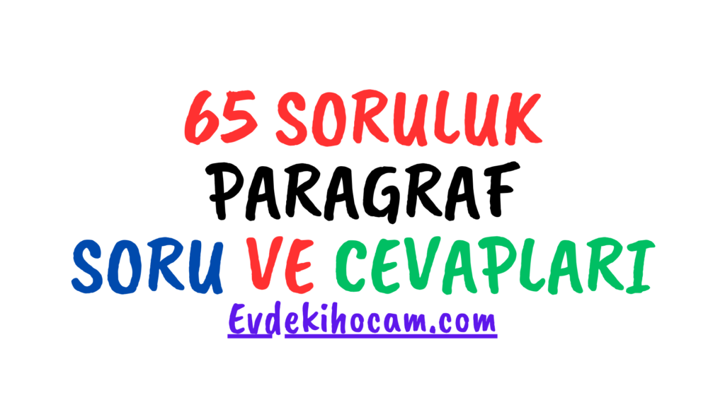7.Sınıf Paragraf Soruları