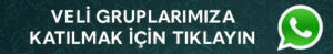 whatsapp-gruplari